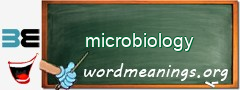 WordMeaning blackboard for microbiology